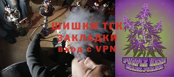 тгк Аркадак