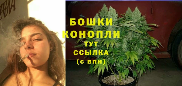 дурь Арсеньев