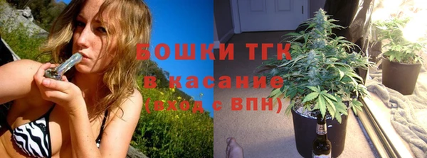 тгк Армянск