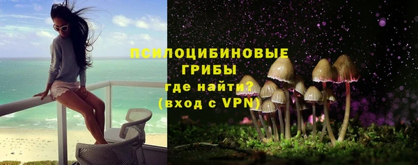 тгк Аркадак