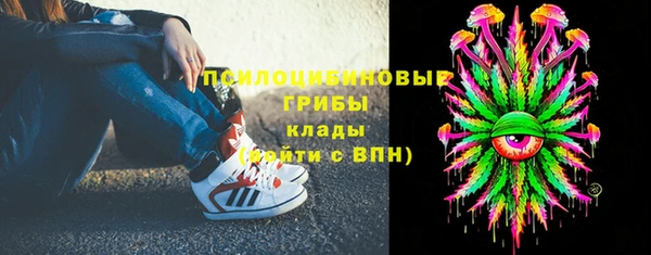 тгк Армянск