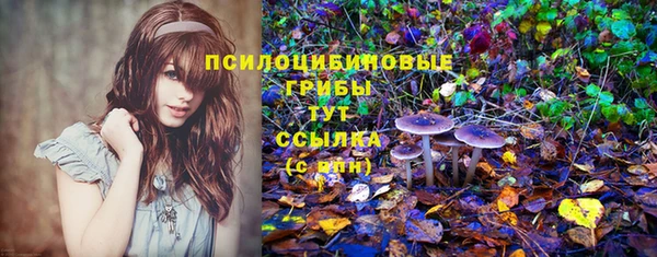 тгк Армянск
