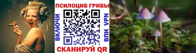 Галлюциногенные грибы MAGIC MUSHROOMS  Электрогорск 