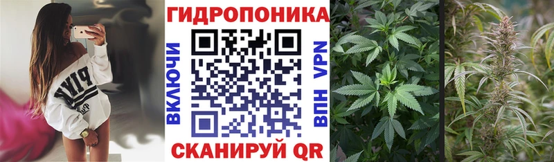 Марихуана марихуана  Электрогорск 